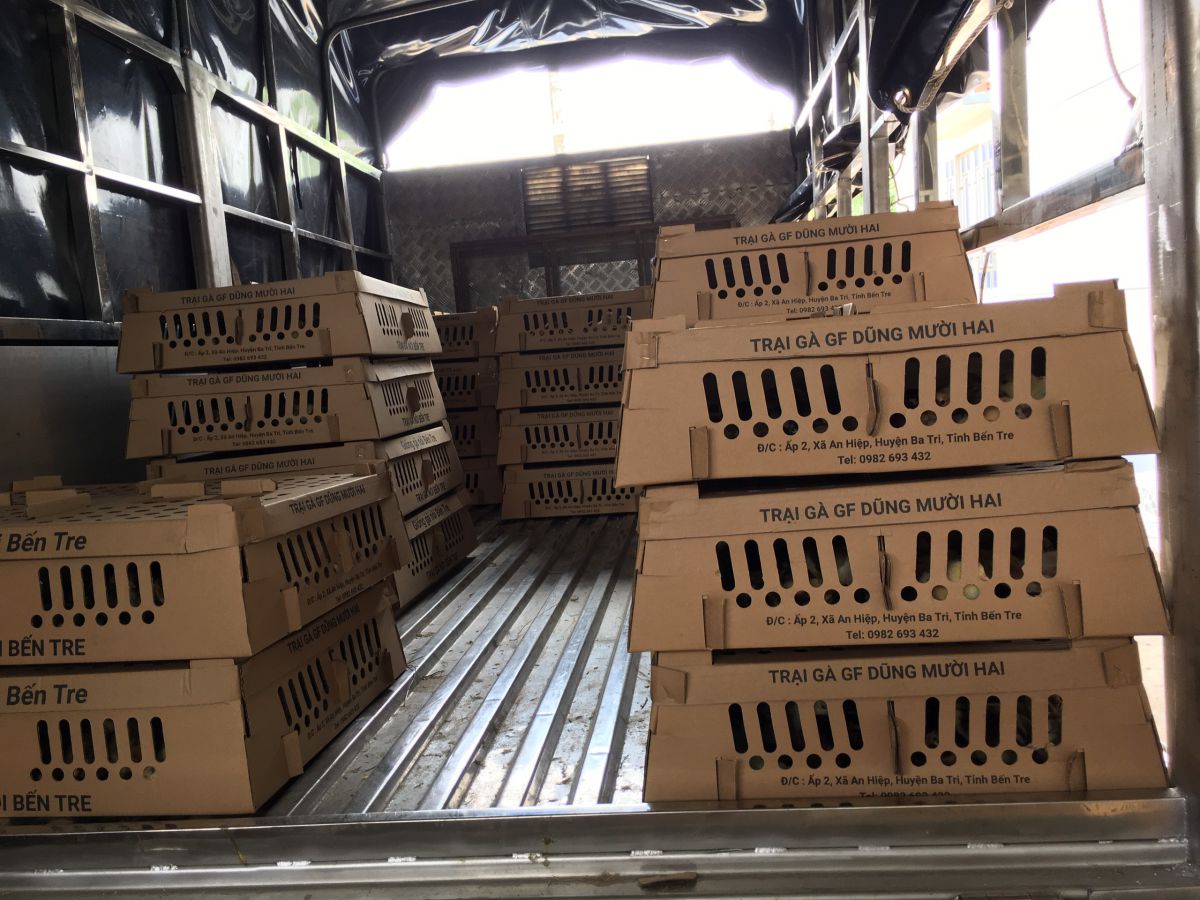 Trại gà giống Dũng Mười Hai