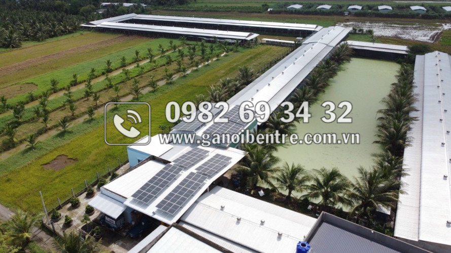 Trại gà giống Dũng Mười Hai