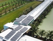 Trại gà giống Dũng Mười Hai