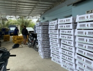 Trại gà giống Dũng Mười Hai