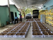 Trại gà giống Dũng Mười Hai