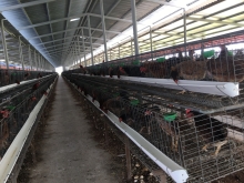 HÌNH ẢNH CHUỒNG TRẠI