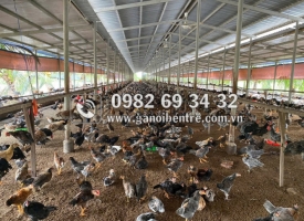 Bạn đang muốn tìm địa chỉ bán máy phun vacxin Bến Tre?