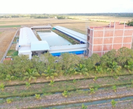 HỆ THỐNG CHUỐNG TRẠI QUY MÔ