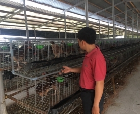 NHÀ NÔNG TẬN TÂM, NHIỀU KINH NGHIỆM 