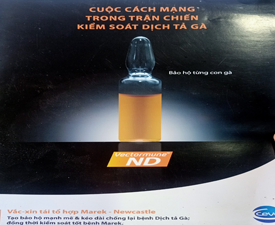 QUY TRÌNH PHÒNG BỆNH AN TOÀN