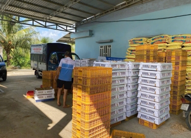 CUNG CẤP GÀ GIỐNG