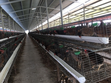 HÌNH ẢNH CHUỒNG TRẠI