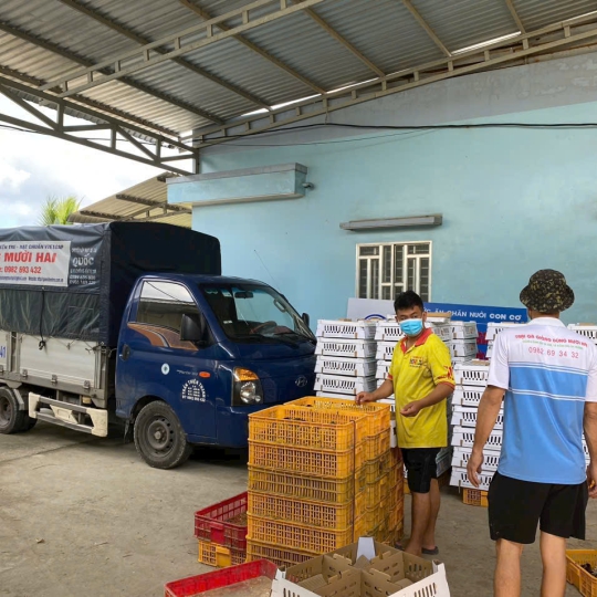 CUNG CẤP GÀ GIỐNG