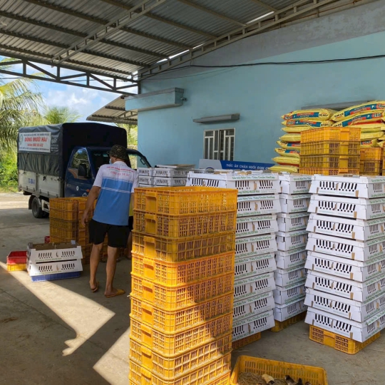 CUNG CẤP GÀ GIỐNG