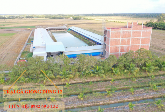 Trại gà giống Dũng Mười Hai