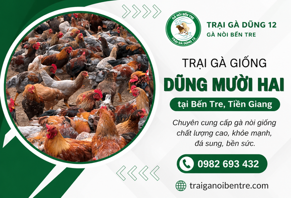 Trại gà giống Dũng Mười Hai