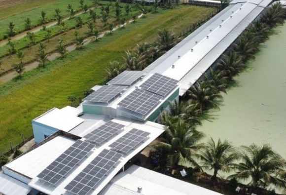 Trại gà giống Dũng Mười Hai