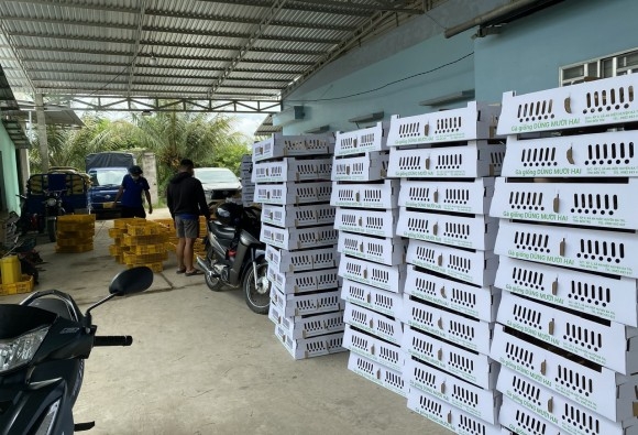 Trại gà giống Dũng Mười Hai