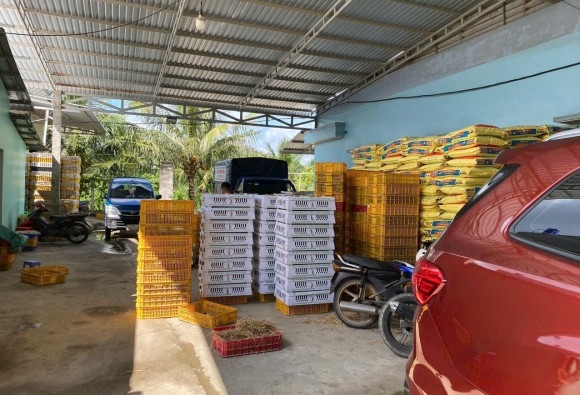 Trại gà giống Dũng Mười Hai