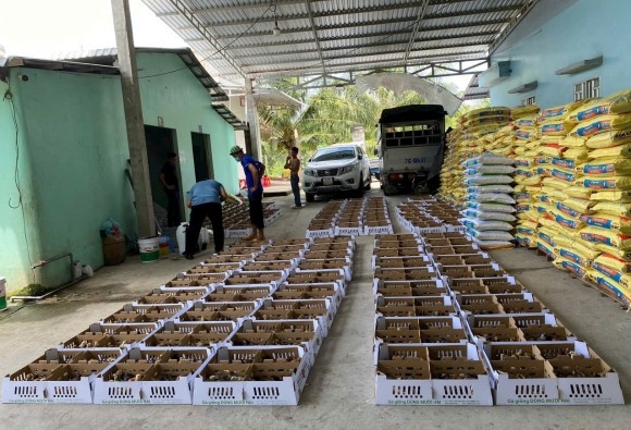 Trại gà giống Dũng Mười Hai